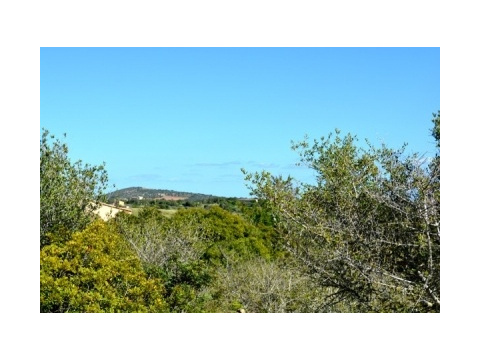 Wohngrundstück kaufen in Son Carrió, 19.500 m² Grundstück