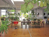 Loft, Studio, Atelier kaufen in Pyrbaum, 350 m² Wohnfläche, 2 Zimmer