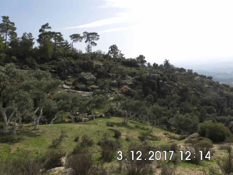 Bauernhof kaufen in Bodrum