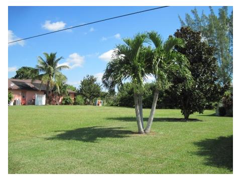 Wohngrundstück kaufen in Cape Coral, 1.000 m² Grundstück