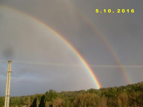 Bild...