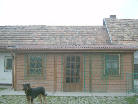 Bild...