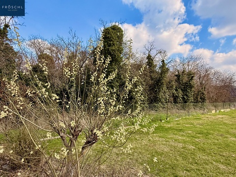 Grundstück kaufen in Altenburg, 1.329 m² Grundstück