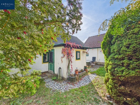 Idyllischer Innenhof mit gewachsenem Grünbestand