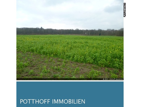 Land Forstwirschaft kaufen in Handorf, 26.370 m² Grundstück