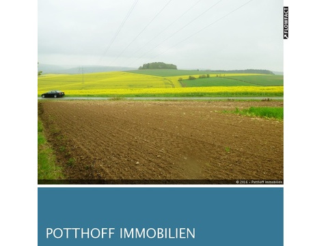 Land Forstwirschaft kaufen in Brakel, 42.000 m² Grundstück