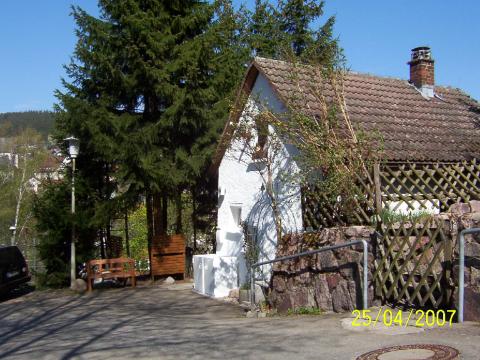 Bild...