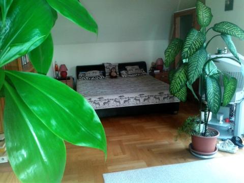 Bild...