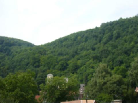 Bild...