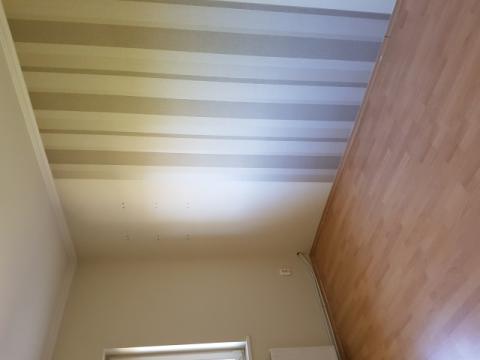 Bild...