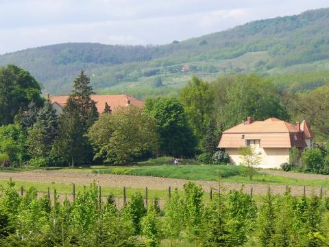 Bild...