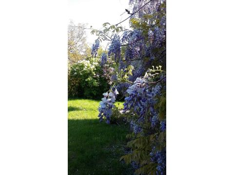 Bild...