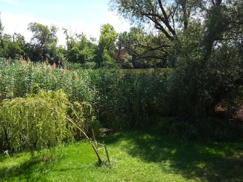 Bild...