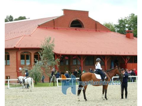 Sonstiges kaufen in Kecskemét, 140.000 m² Grundstück