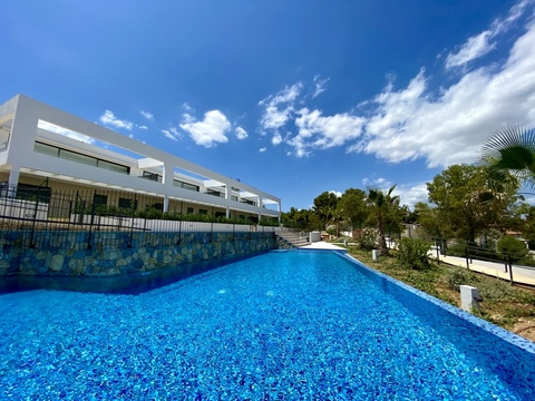 Pool und Garten