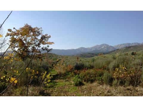 Wohngrundstück kaufen in Arenas de San Pedro, 27.000 m² Grundstück