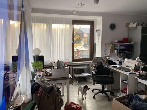 Wohnung mieten in Mönchengladbach, 35 m² Wohnfläche, 1 Zimmer