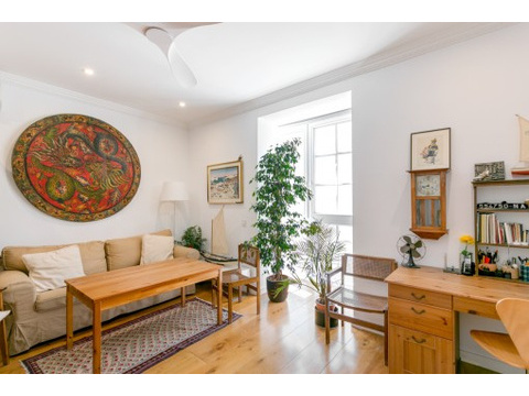Etagenwohnung kaufen in Palma, 425 m² Wohnfläche, 7 Zimmer