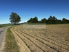 Land Forstwirschaft kaufen in Moorenweis, 1.174 m² Grundstück