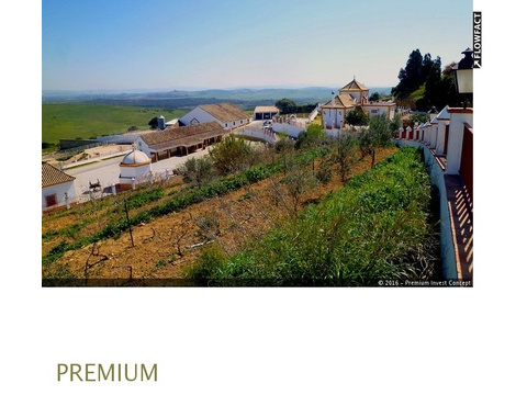 Bauernhaus kaufen in Chiclana de la Frontera, 420.000 m² Grundstück, 950 m² Wohnfläche, 8 Zimmer