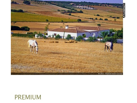 Bauernhaus kaufen in Arcos de la Frontera, 40.000 m² Grundstück, 268 m² Wohnfläche, 7 Zimmer
