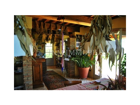 living room 1 1 1
