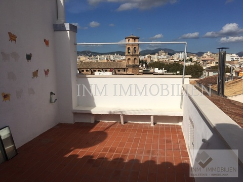 INM1408 - Palma (8)