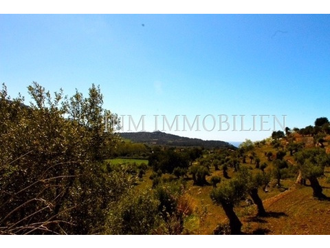 Einfamilienhaus kaufen in Valldemossa, 675 m² Grundstück, 180 m² Wohnfläche, 6 Zimmer