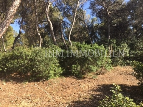 Wohngrundstück kaufen in Santa Ponsa, 1.070 m² Grundstück