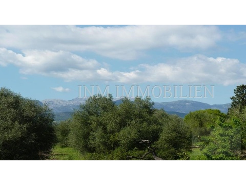 INM1532 - Santa Eugenia (21)