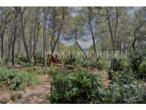 INM1633 - Montuïri (8)