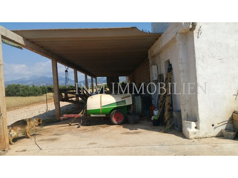 INM1711 - Sa Pobla (2)