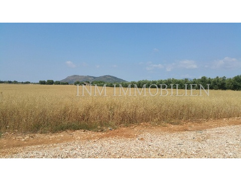 INM1711 - Sa Pobla (3)
