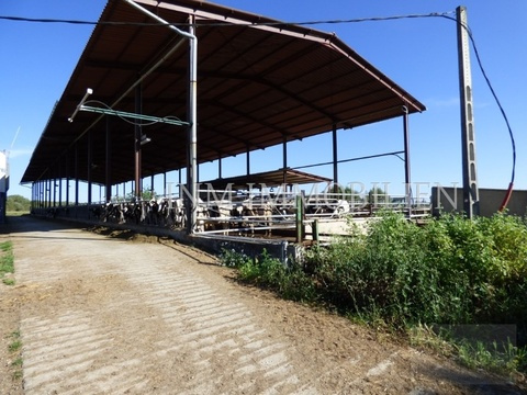 INM1721 - Campos (4)