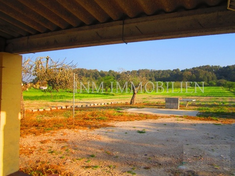INM1808 - Montuiri (7)