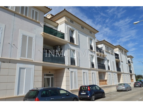 INM1460 - Palma (3)