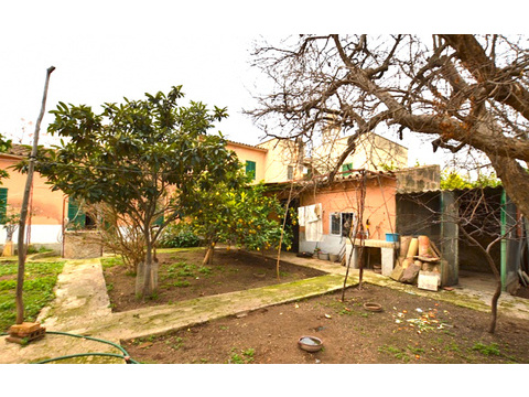 Einfamilienhaus kaufen in Palma de Mallorca, 250 m² Wohnfläche