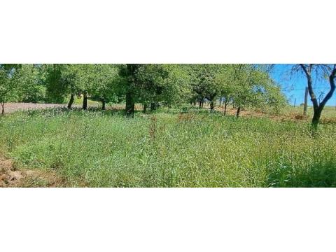 Bild...