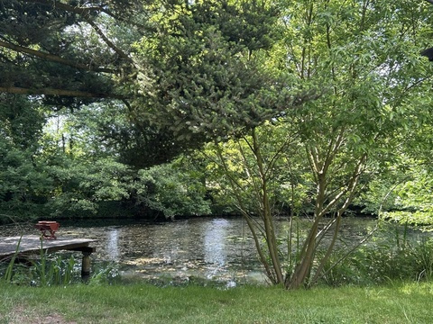 05 Teich