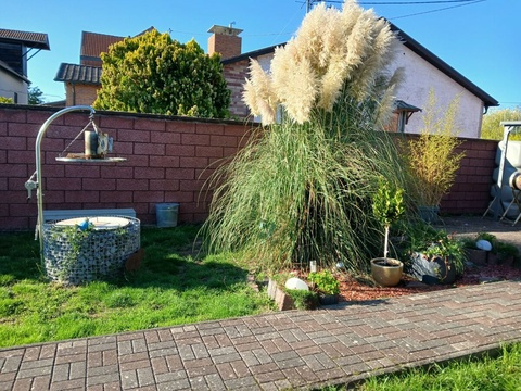 IMG-20260804-WA0020