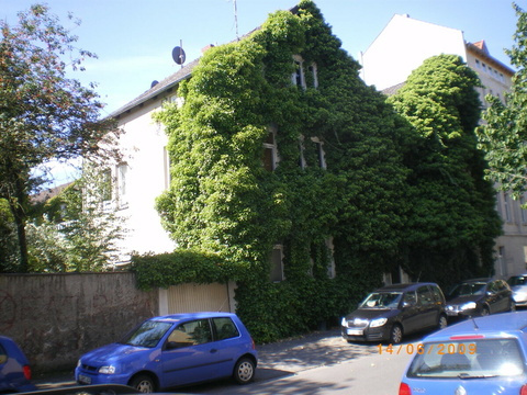 Bild 449