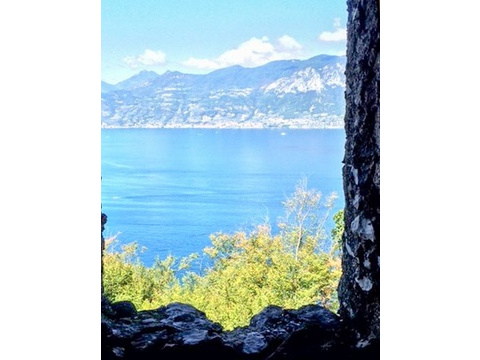 Blick aus dem Fenster