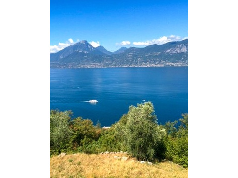 Seeblick