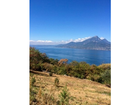Seeblick