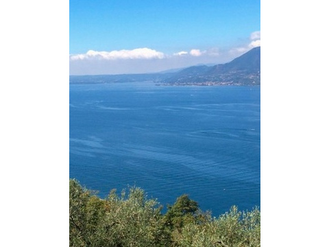 Seeblick