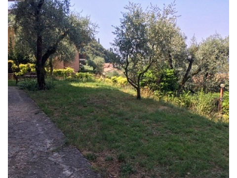 Garten mit Seeblick