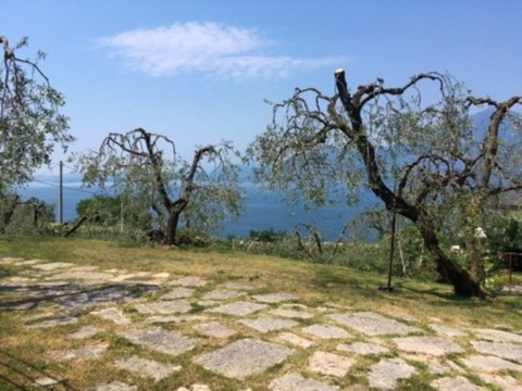 Garten mit Seeblick