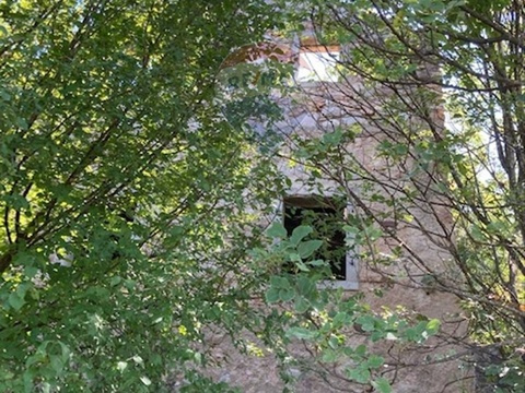 Rustico