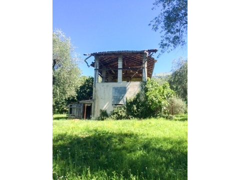 Rustico
