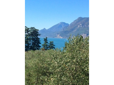 Seeblick